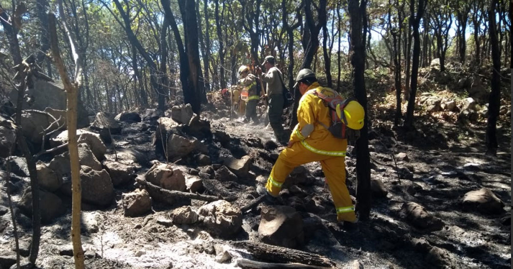 Indicó que los siniestros, todavía sin contabilizar el que se combate en estos momentos, han afectado 1,412 hectáreas de la zona protegida. Foto EE: Cortesía Protección Civil de Jalisco @PCJalisco