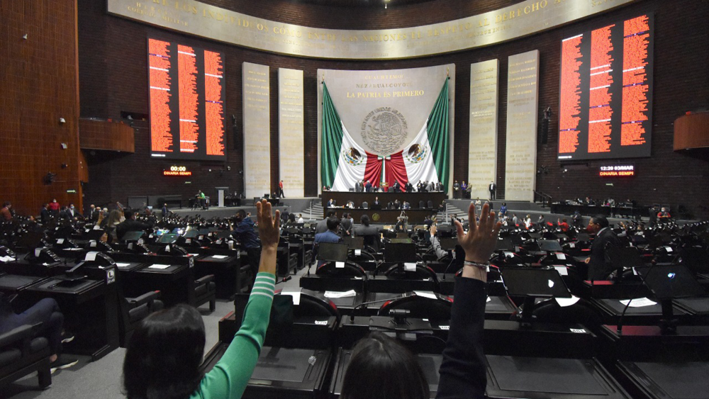 Foto EE: Cortesía Cámara de Diputados