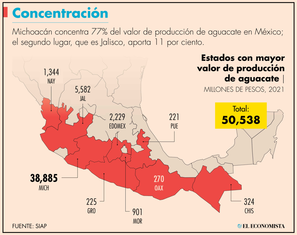 El cultivo y comercialización de aguacate tiene gran relevancia para la economía estatal