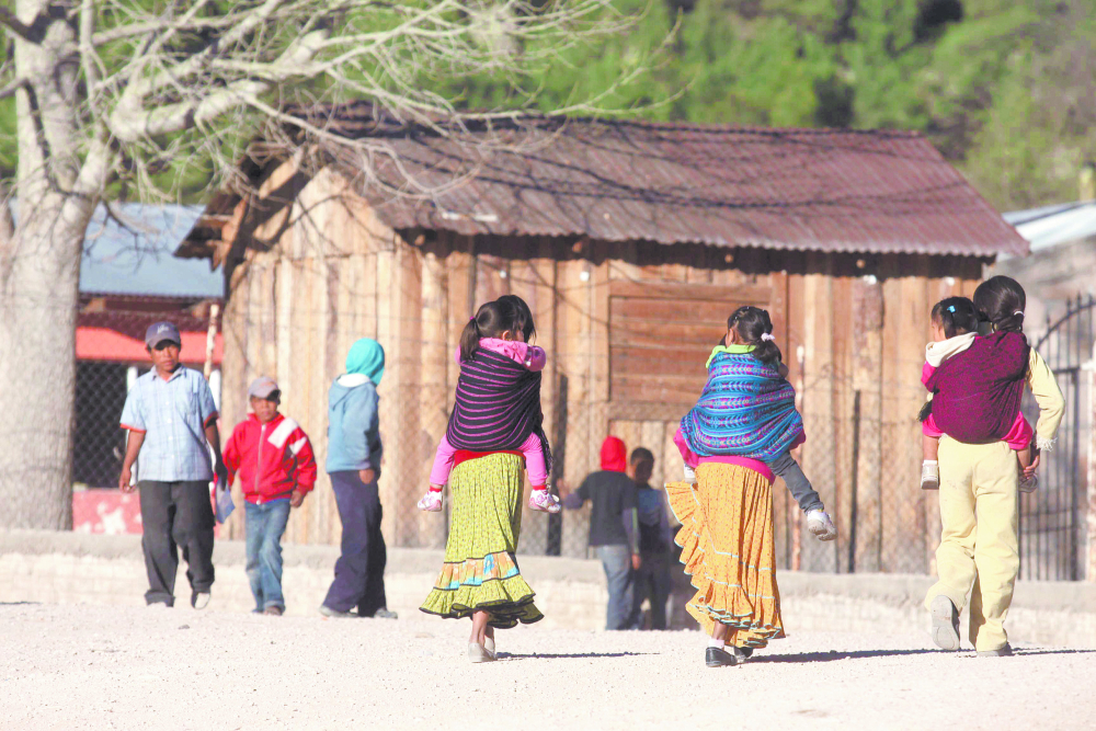 TOTORI, CHIHUAHUA, 27ENERO2012.- En la comunidad de Totori se observa la problematica que se vive en la sierra tarahumara muchos indigenas esperan ayuda por la hambruna debido a la sequ√≠a de varios a√±os atr√°s en la existen varias comunidades como totori donde la ayuda es escasa ya que no es f√°cil el acceso a estas comunidades sin embargo poco a poco las asociaciones civiles hacen el esfuerzo por ayudar, los animales no tienen que comer y esto ocasiona la muerte sin embargo otro problema aparte de la sequ√≠a es el mestizaje ya que seg√∫n la antropologa Cristina Garcia el mestizo esta creando necesidades innecesarias como es el dinero ya que muchos ind√≠genas raramuris debido a la falta de comida salen a la ciudades a buscar trabajo en la pisca y regresan a sus comunidad con diferentes ideas y costumbres, los raramuris acostumbran a tener animales como gallinas, chivos , ma√≠z , frijol y hacen trueques por lo que no tienen costumbre que se ha ido perdiendo. FOTO: RASHIDE FRIAS/CUARTOSCURO.COM