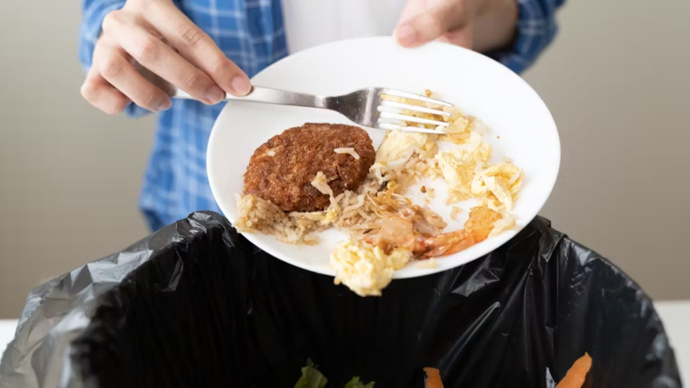 El desperdicio de alimentos se refiere a cualquier pérdida de alimentos por deterioro o desecho. Foto: Shutterstock