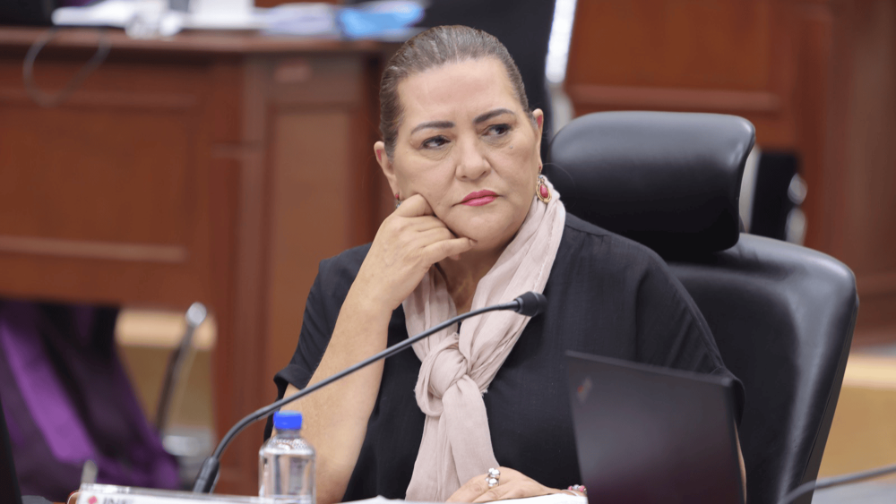 Guadalupe Taddei, consejera presidenta del Instituto Nacional Electoral. Foto EE: Cortesía / INE