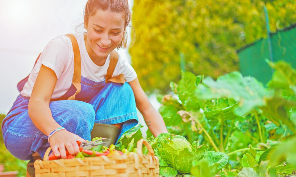 Educación. Capacitar a la comunidad sobre una dieta nutritiva en línea con el cuidado ambiental, compromiso. Foto: Shutterstock