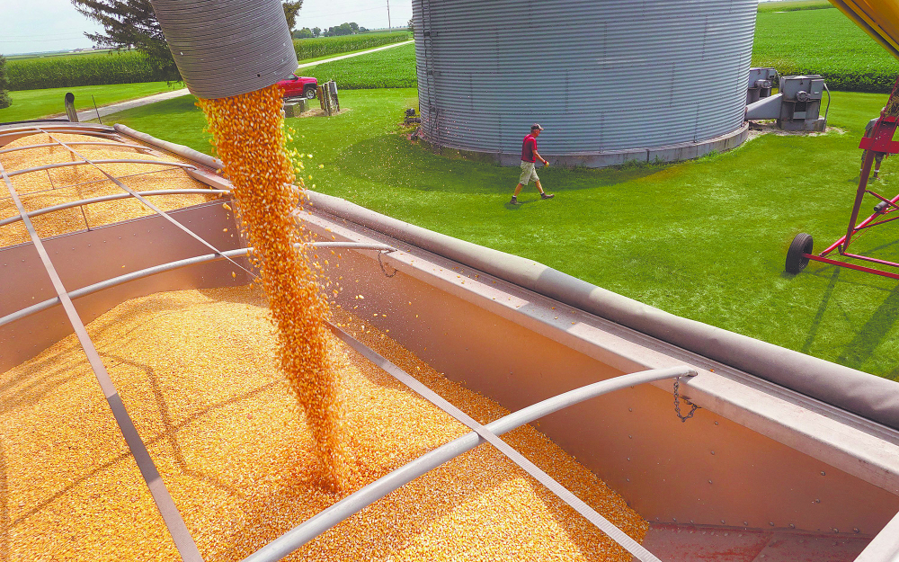 U.S. On Verge Of Record Corn Crop Despite Drought In Several Farm States