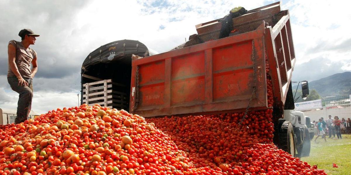 Productores de tomate advierten sobre impacto a empleos por arancel de EU
