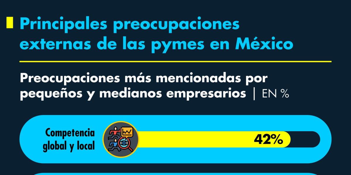 Principales preocupaciones externas de las pymes en México