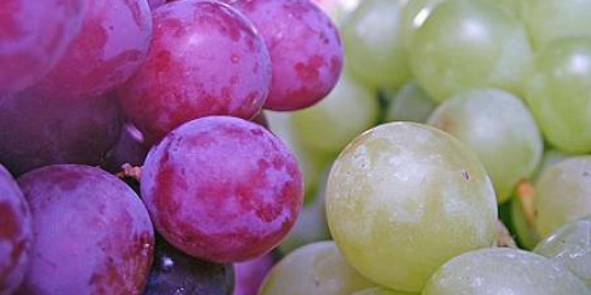 Precio de uvas aumenta casi 100 por ciento