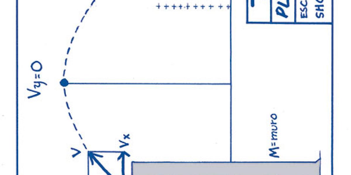 Plan V