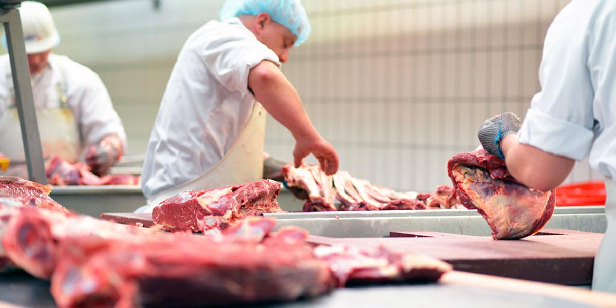 Cattle slaughter in Puebla falls 5% amid screwworm alerts