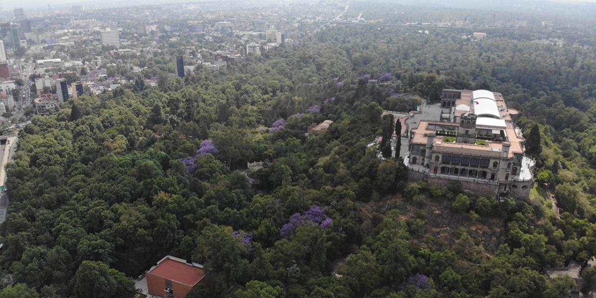 CDMX adjudicará directamente contrato de más de 3 millones de pesos