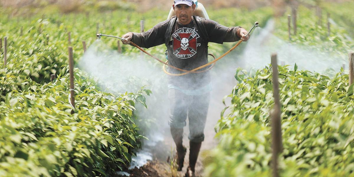 Agroindustria de Jalisco, principal beneficiaria con modernización del TLCUEM