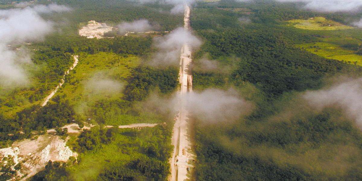 Estudios ambientales en Tramo 5 del Tren Maya, en marcha