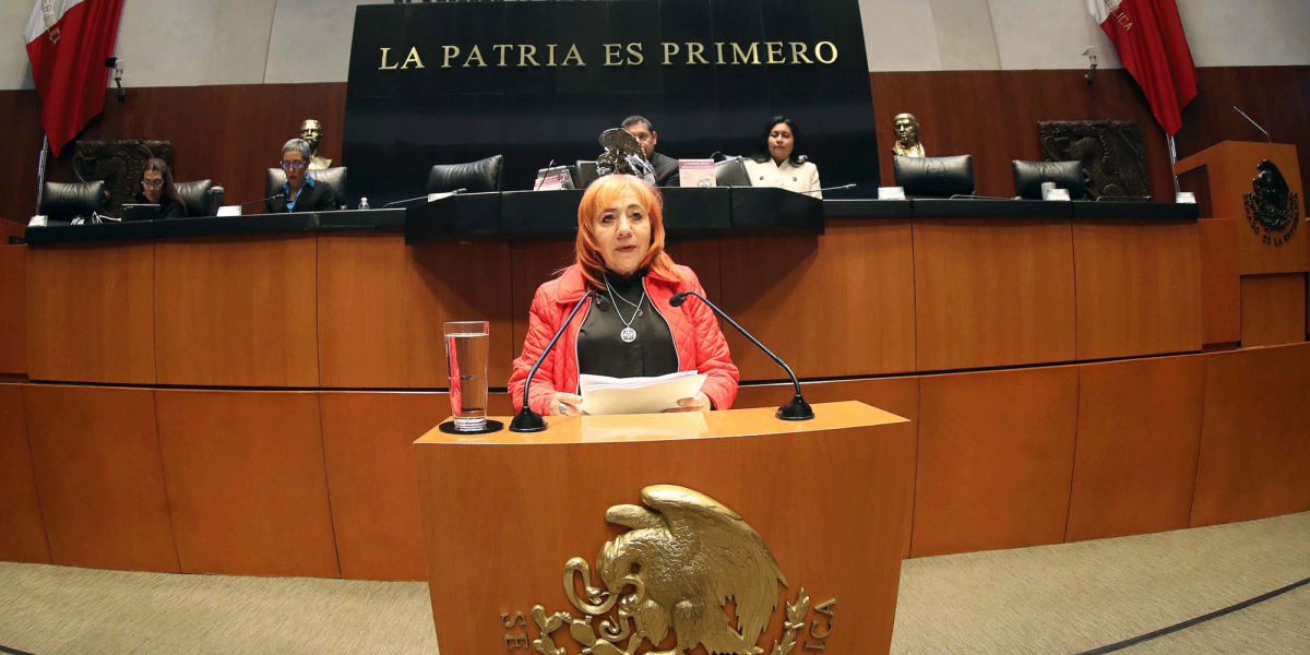 Presidenta de la CNDH comparece ante senadores y responde a críticas de ...