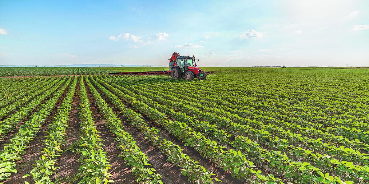 Mexico’s first agrovoltaic system begins operating in Puebla