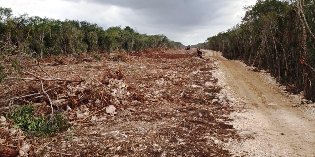 Ambientalistas denuncian continuación de obras del Tren Maya pese a ...