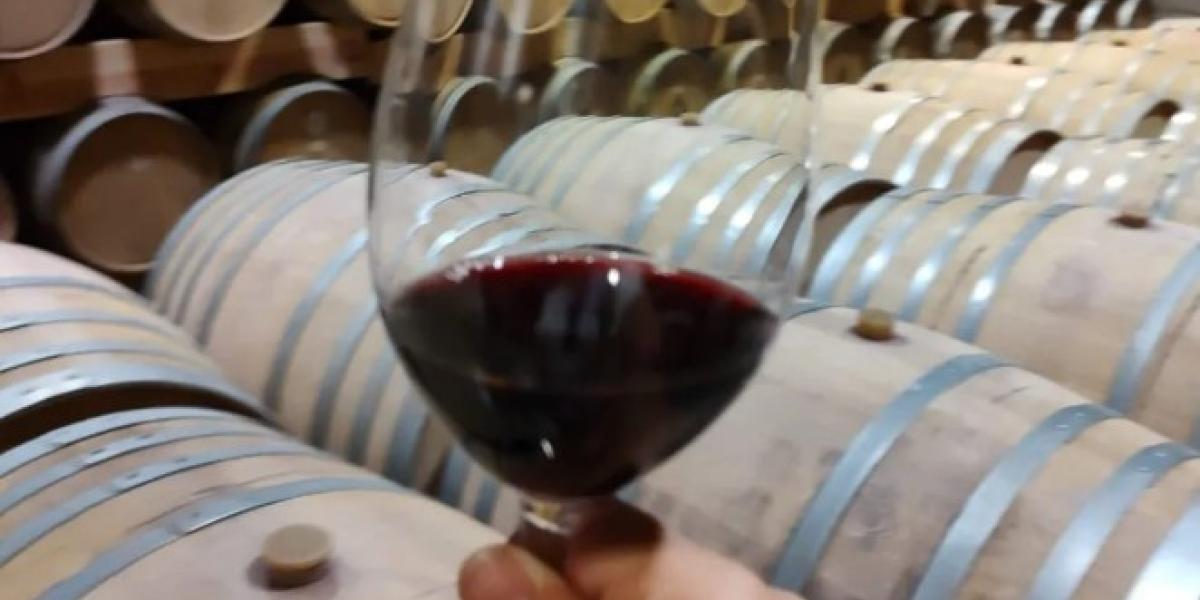Nayarit se incorpora a la lista de estados productores de vino