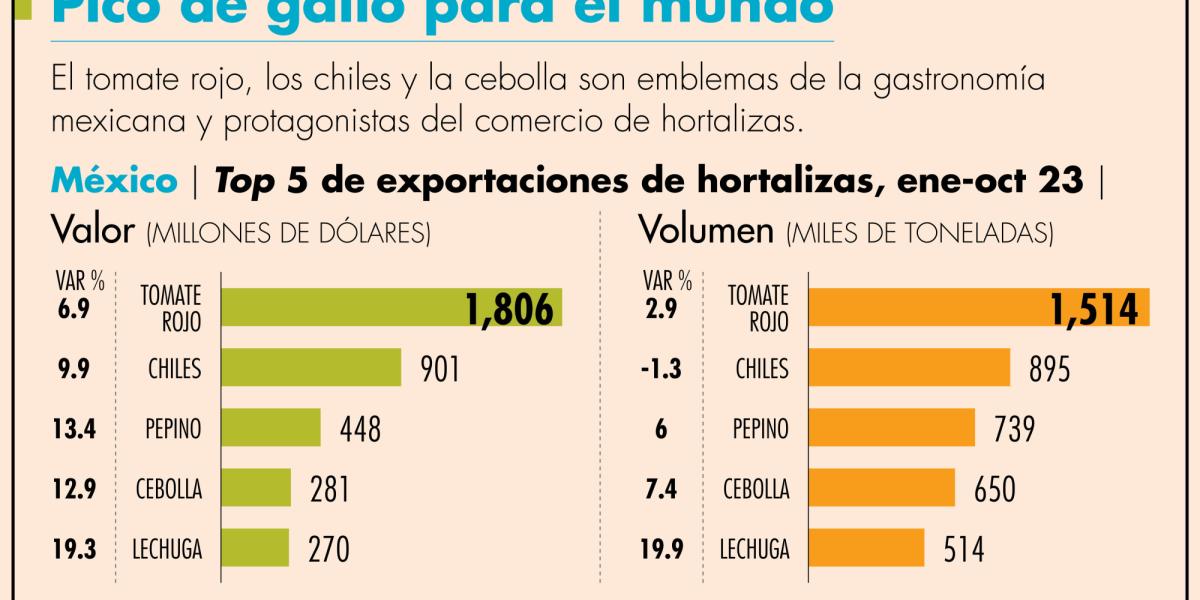 Exportaciones de hortalizas crecen en volumen y valor