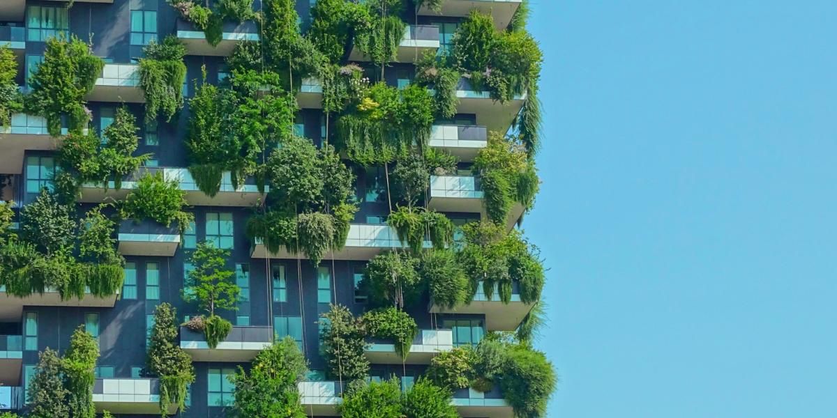 Construcción sustentable: ¿En qué consiste la arquitectura circular?