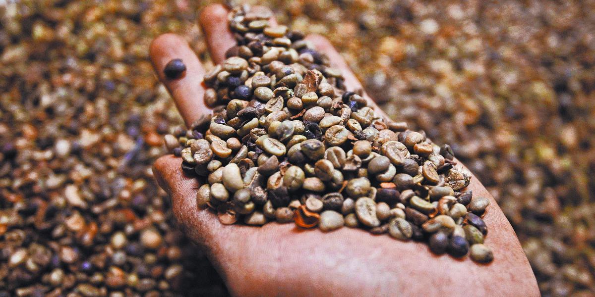 Grandes marcas se enfrentan a los altos precios del café