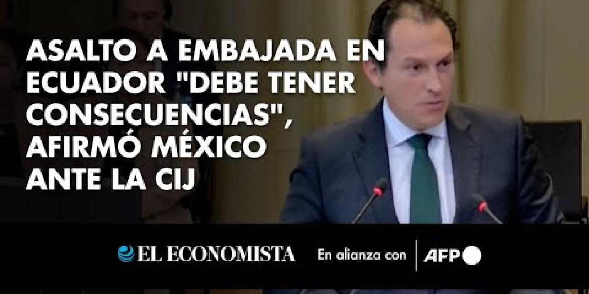 Asalto A Embajada En Ecuador Debe Tener Consecuencias Afirmó México Ante La Cij 2466