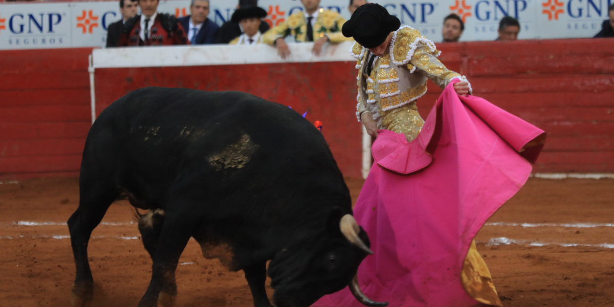 Congreso de la CDMX aprueba las corridas de toros sin violencia ...