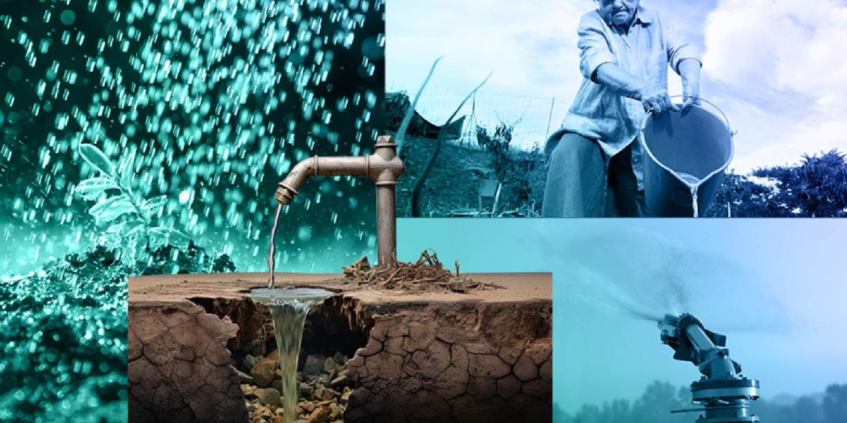 Día del Agua: La crisis hídrica en México y cómo podemos cuidar el agua ...