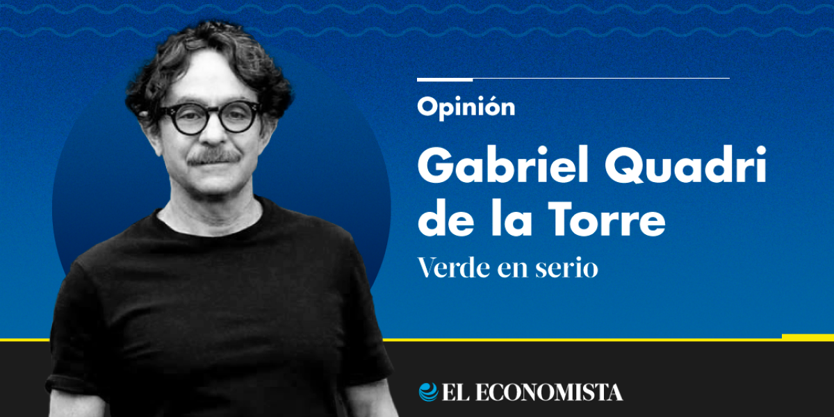 Gabriel Quadri De La Torre