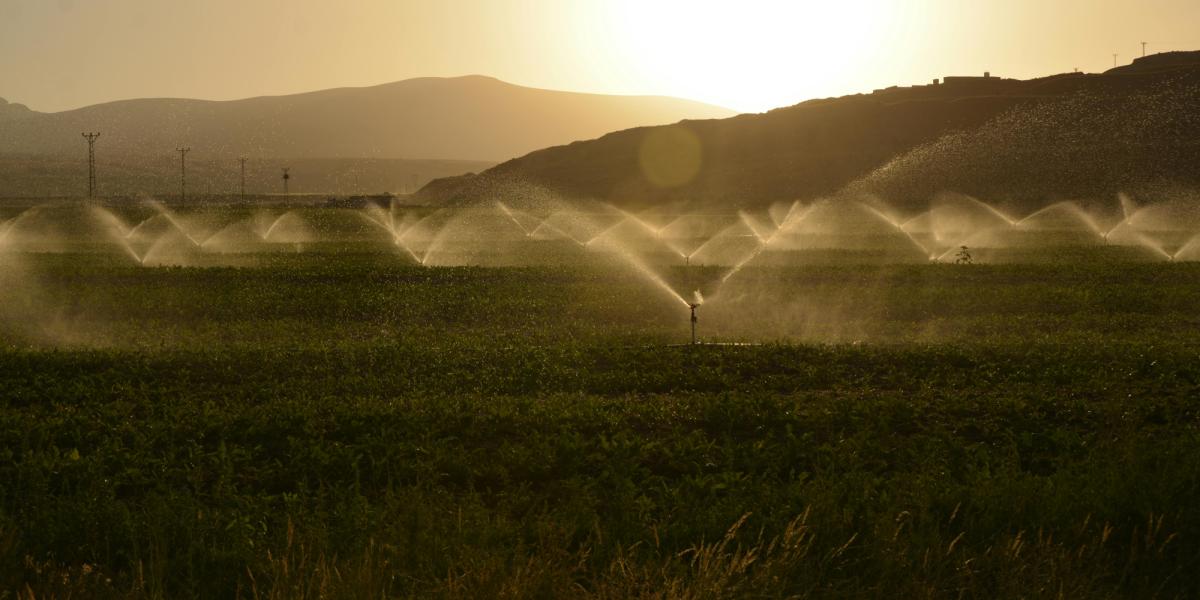 Bajío faces growing water pressure from technology and agriculture