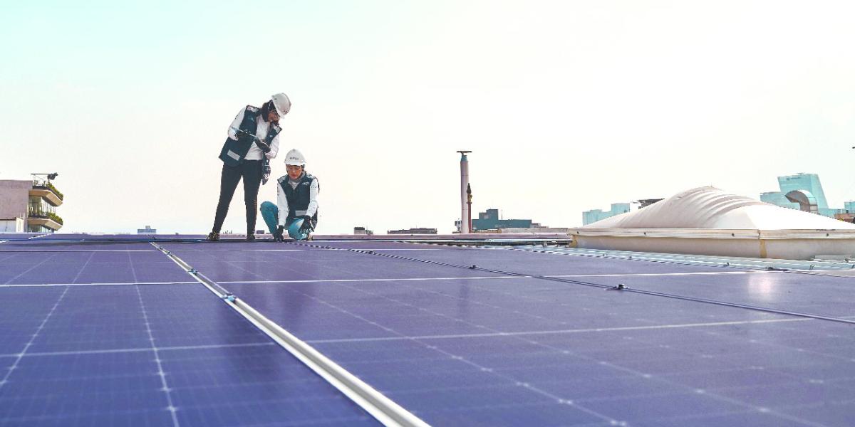 En evaluación ambiental, dos proyectos de energía solar para Quintana Roo – El Economista