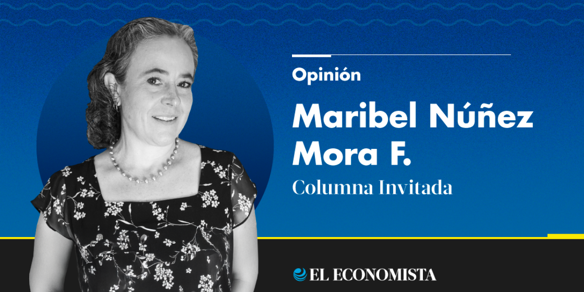 Maribel Núñez Mora F.