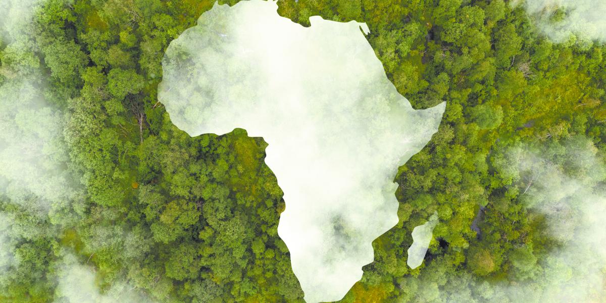   Georgia Levenson Keohane