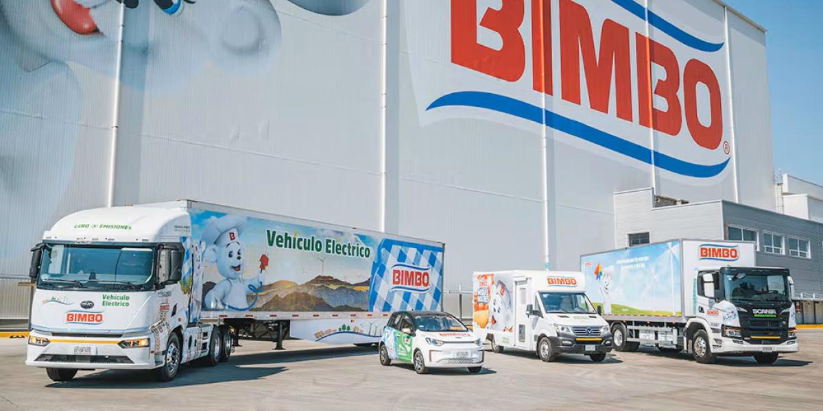 Beneficio de Bimbo cae 8% hasta los 11,133 millones de pesos en 2025 ...