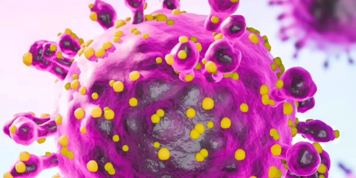 Hantavirus en crucero pone en alerta a Salud