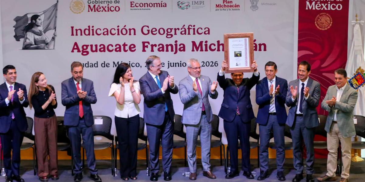 Protegen al “Aguacate Franja Michoacán” con indicación geográfica