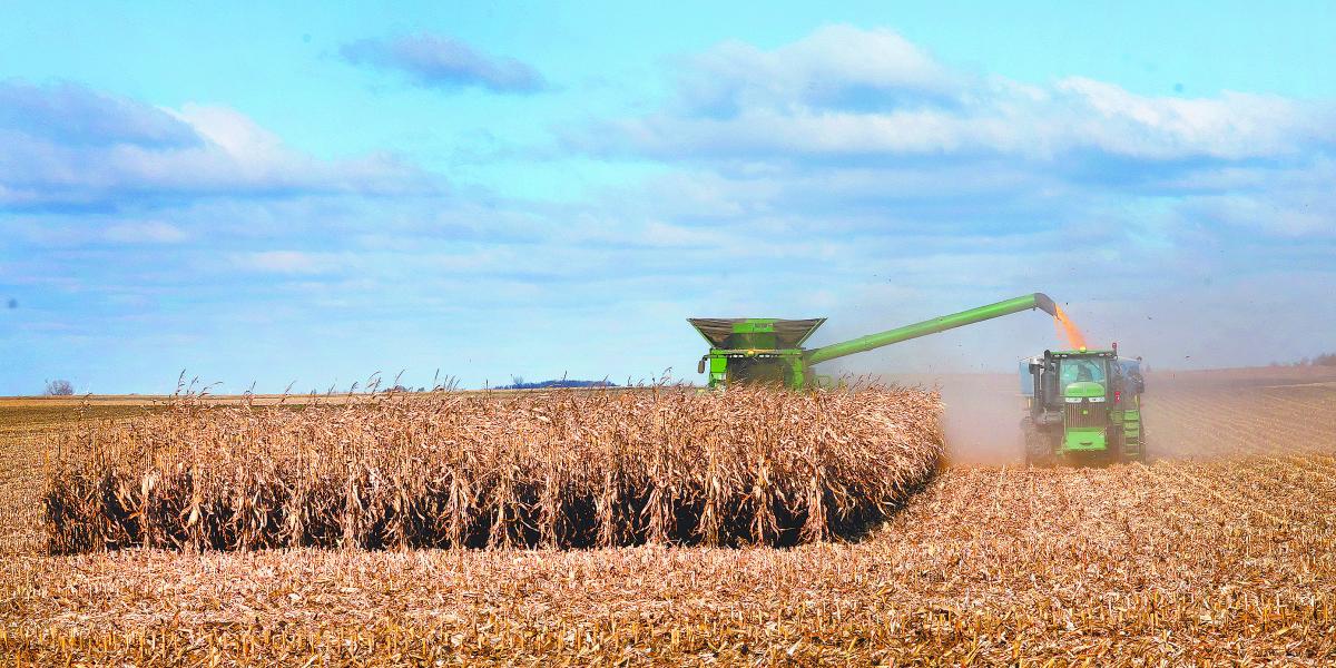 México batirá récord de importaciones de maíz en 2026 y 2027: USDA