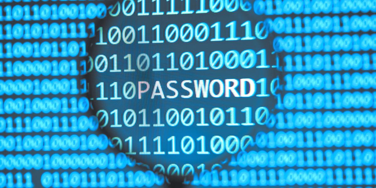 El Economista