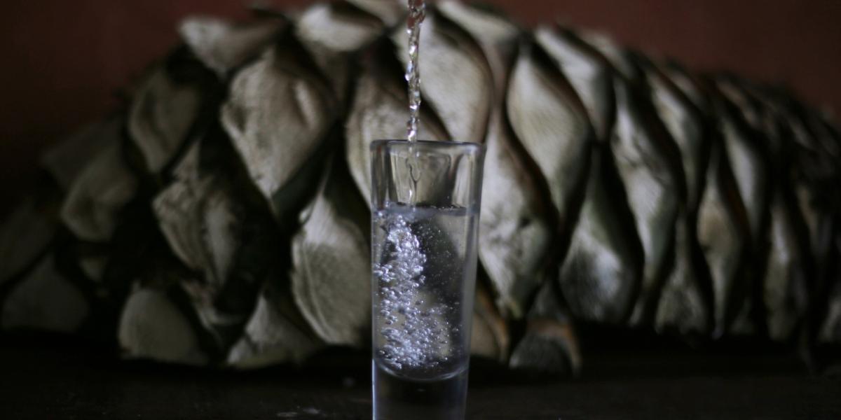 Jalisco launches label to promote regional products and support producers