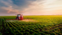 Agricultura.