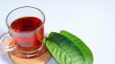 El poder de las hojas de guayaba en una taza