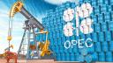 Foto: Shutterstock