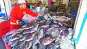 México ocupa actualmente el noveno lugar como productor de tilapia en el mundo y tercero en Latinoamérica, al sumar 115,000 toneladas.