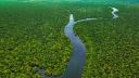Aerial view of the Amazon River winding through lush greenery in Leticia, Colombia