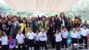 paneles solares