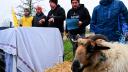 Los agricultores franceses y miembros del sindicato de agricultores de Francia, Confederation Paysane, participan en una manifestación