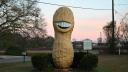 Una estatua de un maní en honor al expresidente estadounidense Jimmy Carter, quien era un agricultor de maní, se encuentra en Plains, Georgia.