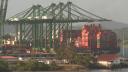 El canal de Panamá anunció el viernes que abrirá una licitación para construir un gasoducto de 80 km que le permita transportar combustible entre el Caribe y el Pacífico, en un intento por diversificar sus negocios. 

¡Síguenos en nuestras redes sociales para mantenerte informado! 

Twitter: https://twitter.com/eleconomista 
Facebook: https://www.facebook.com/ElEconomista.mx 
Instagram: https://www.instagram.com/eleconomistamx 
LinkedIn: https://www.linkedin.com/company/el-economista/ 

#ElEconomista #EETV #AFP