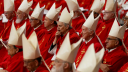 Cardenales.