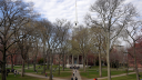 Universidad de Harvard.