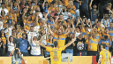 Tigres.