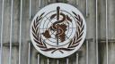 La OMS señala que está ayudando a los países afectados a aplicar medidas coordinadas para responder a los casos y brotes de fiebre amarilla.

Para más información del tema, visita: https://www.eleconomista.com.mx/internacionales/casos-fiebre-amarilla-triplican-america-oms-20250516-759401.html

¡Síguenos en nuestras redes sociales para mantenerte informado!

Twitter: https://twitter.com/eleconomista 
Facebook: https://www.facebook.com/ElEconomista.mx
Instagram: https://www.instagram.com/eleconomistamx
LinkedIn: https://www.linkedin.com/company/el-economista/

#ElEconomista #EETV